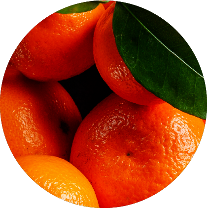 mandarin-orange